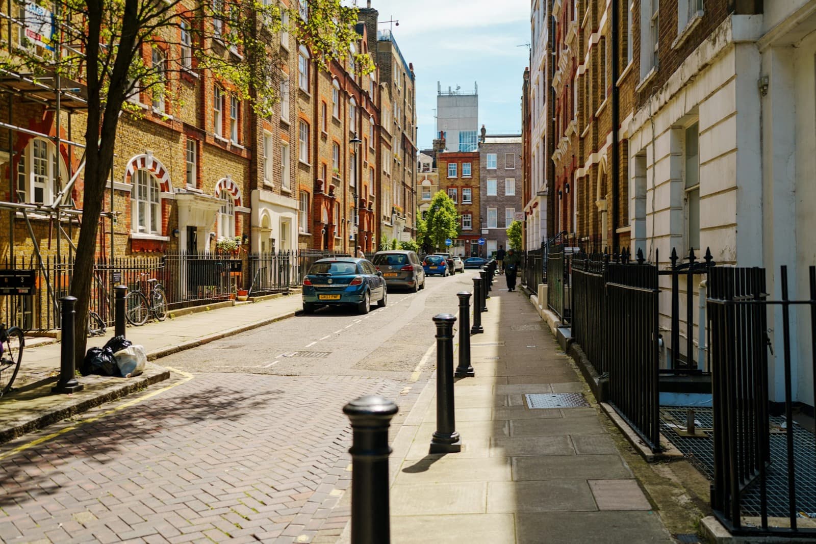 A tree-lined terraced street of traditional flats in spring sunshine